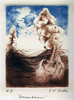 Busenbaum Limited Edition Print - G.H Rothe Busenbaum Limited Edition Print - G.H Rothe