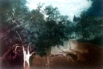 Naciamento 1980 Limited Edition Print - G.H Rothe Naciamento 1980 Limited Edition Print - G.H Rothe