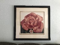 Glass Rose 1993 Limited Edition Print by G.H Rothe - 1 Glass Rose 1993 Limited Edition Print by G.H Rothe - 1