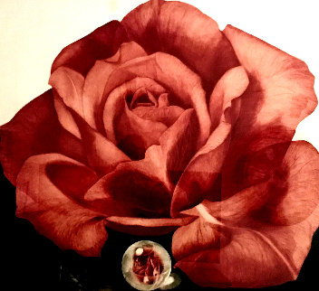 Glass Rose 1993 Limited Edition Print - G.H Rothe Glass Rose 1993 Limited Edition Print - G.H Rothe