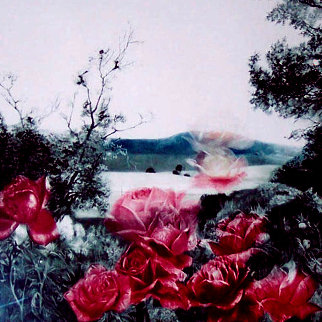 Rose Escape Limited Edition Print - G.H Rothe Rose Escape Limited Edition Print - G.H Rothe
