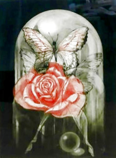 Rose Limited Edition Print - G.H Rothe Rose Limited Edition Print - G.H Rothe