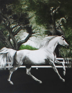 Arabian Colt / Arabian Nights: Set of 2 Prints Limited Edition Print - G.H Rothe Arabian Colt / Arabian Nights: Set of 2 Prints Limited Edition Print - G.H Rothe
