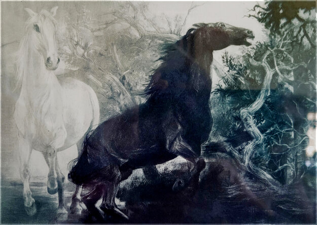 Grace and the Stallion 1985 Limited Edition Print - G.H Rothe