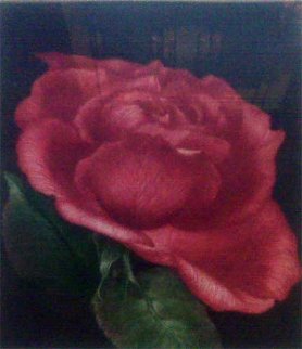 Spanish Rose 1978 Limited Edition Print - G.H Rothe