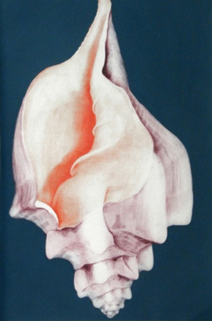 Mollusk 1976 Limited Edition Print by G.H Rothe Mollusk 1976 Limited Edition Print by G.H Rothe