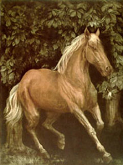 Thoroughbred Running Limited Edition Print - G.H Rothe Thoroughbred Running Limited Edition Print - G.H Rothe
