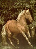 Thoroughbred Running Limited Edition Print by G.H Rothe - 0