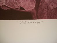 Mindscape 1977 Limited Edition Print by G.H Rothe - 2 Mindscape 1977 Limited Edition Print by G.H Rothe - 2