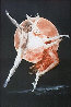 Moondance II 1976 Limited Edition Print by G.H Rothe - 0