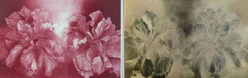 Hibiscus, and copper etching plate Limited Edition Print - G.H Rothe Hibiscus, and copper etching plate Limited Edition Print - G.H Rothe