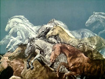 Chase AP 1981 Limited Edition Print - G.H Rothe Chase AP 1981 Limited Edition Print - G.H Rothe