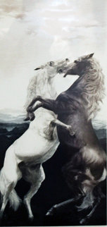 Joy 1978 Limited Edition Print - G.H Rothe Joy 1978 Limited Edition Print - G.H Rothe