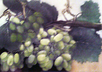 Grapes with Pastel 1998 8x12 Works on Paper (not prints) - G.H Rothe