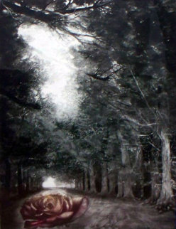 Solitude AP Limited Edition Print - G.H Rothe Solitude AP Limited Edition Print - G.H Rothe