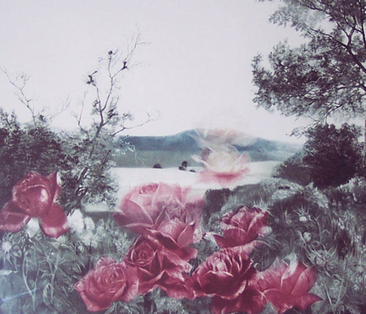 Rosescape Limited Edition Print by G.H Rothe Rosescape Limited Edition Print by G.H Rothe
