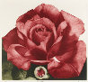 Glass Rose 1993 Limited Edition Print by G.H Rothe - 0