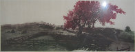 Coral Corral 1978 Limited Edition Print by G.H Rothe - 1 Coral Corral 1978 Limited Edition Print by G.H Rothe - 1