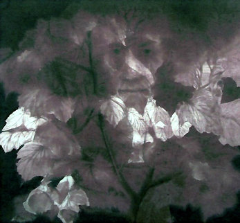 Mindscape 1977 Limited Edition Print - G.H Rothe Mindscape 1977 Limited Edition Print - G.H Rothe