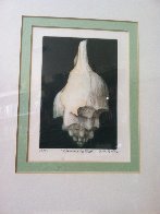 Left Winding Shell 1975 Limited Edition Print by G.H Rothe - 1 Left Winding Shell 1975 Limited Edition Print by G.H Rothe - 1