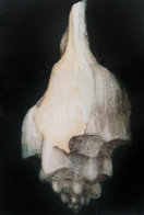 Left Winding Shell 1975 Limited Edition Print by G.H Rothe - 0 Left Winding Shell 1975 Limited Edition Print by G.H Rothe - 0