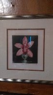 Orchid 1988 Limited Edition Print by G.H Rothe - 1 Orchid 1988 Limited Edition Print by G.H Rothe - 1