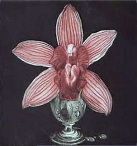 Orchid 1988 Limited Edition Print - G.H Rothe