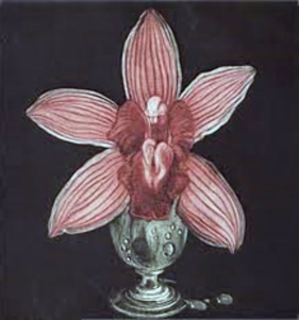 Orchid 1988 Limited Edition Print by G.H Rothe