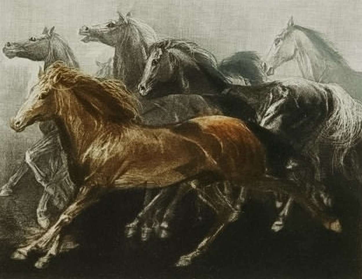 Endurance 1970 Limited Edition Print by G.H Rothe Endurance 1970 Limited Edition Print by G.H Rothe