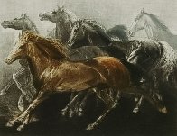Endurance 1970 Limited Edition Print by G.H Rothe - 0 Endurance 1970 Limited Edition Print by G.H Rothe - 0