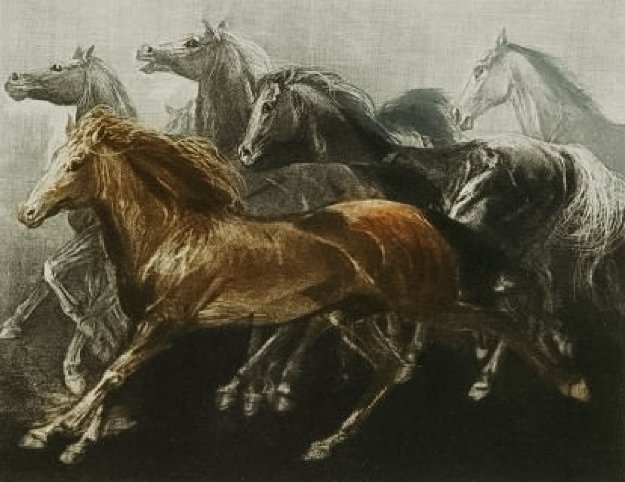Endurance 1970 Limited Edition Print by G.H Rothe Endurance 1970 Limited Edition Print by G.H Rothe