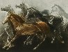Endurance 1970 Limited Edition Print by G.H Rothe - 0