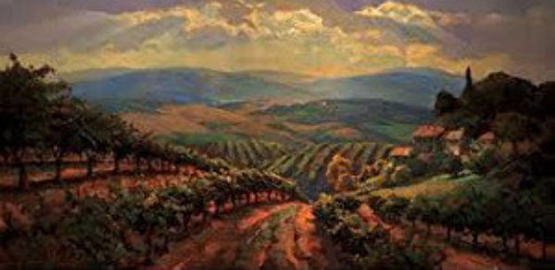 Tuscan, Italian vineyards, wine country Florence, American ...
