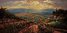 Tuscany Splendor Embellished Limited Edition Print by Leon Roulette - 0
