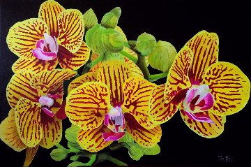 Orchids 2017 24x36 Original Painting - Ruben Ruiz Orchids 2017 24x36 Original Painting - Ruben Ruiz