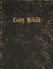 Holy Bible Unique 2003 23x27 HS Pettibon and Ruscha Collaboration Limited Edition Print by Edward Ruscha - 0