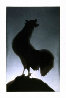 Rooster 1988 Limited Edition Print by Edward Ruscha - 0