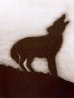 Coyote #144 Limited Edition Print by Edward Ruscha - 0