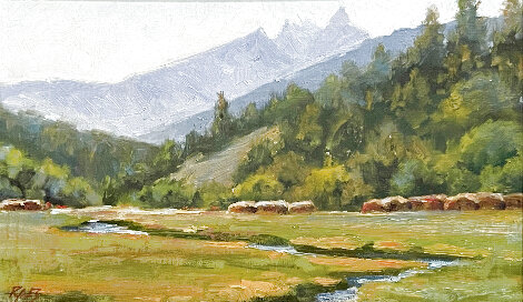 Sawtooth Summer 2022 14x19 - Idaho Original Painting - Nancy Rynes