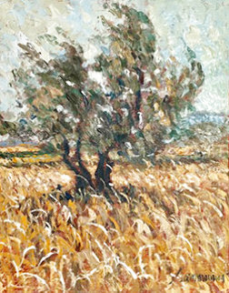 Olive Grove 2001 21x17 Signed Twice Original Painting - Samir Sammoun Olive Grove 2001 21x17 Signed Twice Original Painting - Samir Sammoun