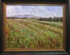 Field of Flowers Painting 2001 - 36x44 Huge Original Painting by Samir Sammoun - 1 Field of Flowers Painting 2001 - 36x44 Huge Original Painting by Samir Sammoun - 1