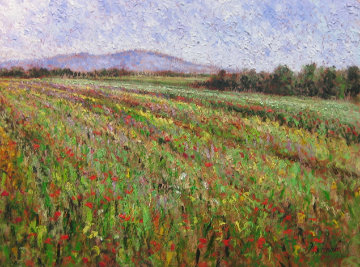 Field of Flowers 2001 36x44 Huge Original Painting - Samir Sammoun