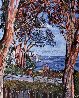 Moss Point 1979 Limited Edition Print by Marco Sassone - 0