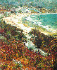 Laguna 1977 (Early) Limited Edition Print by Marco Sassone - 0