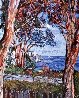 Moss Point 1979 Huge California Limited Edition Print by Marco Sassone - 0