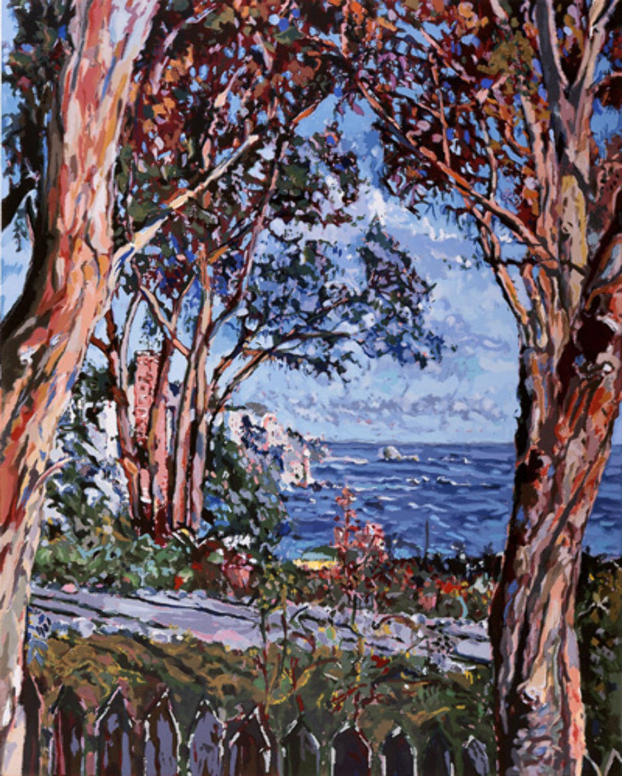 Moss Point California AP 1979 Limited Edition Print by Marco Sassone Moss Point California AP 1979 Limited Edition Print by Marco Sassone