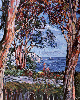 Moss Point California AP 1979 Limited Edition Print - Marco Sassone