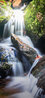 Redemption 2013  Huge Mural Size - Recess Mount - Blue Ridge Parkway, NC Panorama by Rick Scalf - 5