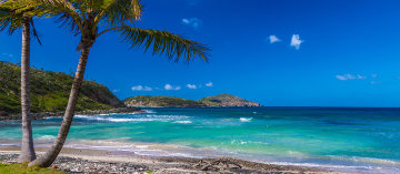 Tropical Bliss Panorama - Rick Scalf Tropical Bliss Panorama - Rick Scalf