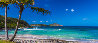 Tropical Bliss  Huge - 39x75 Panorama by Rick Scalf - 0
